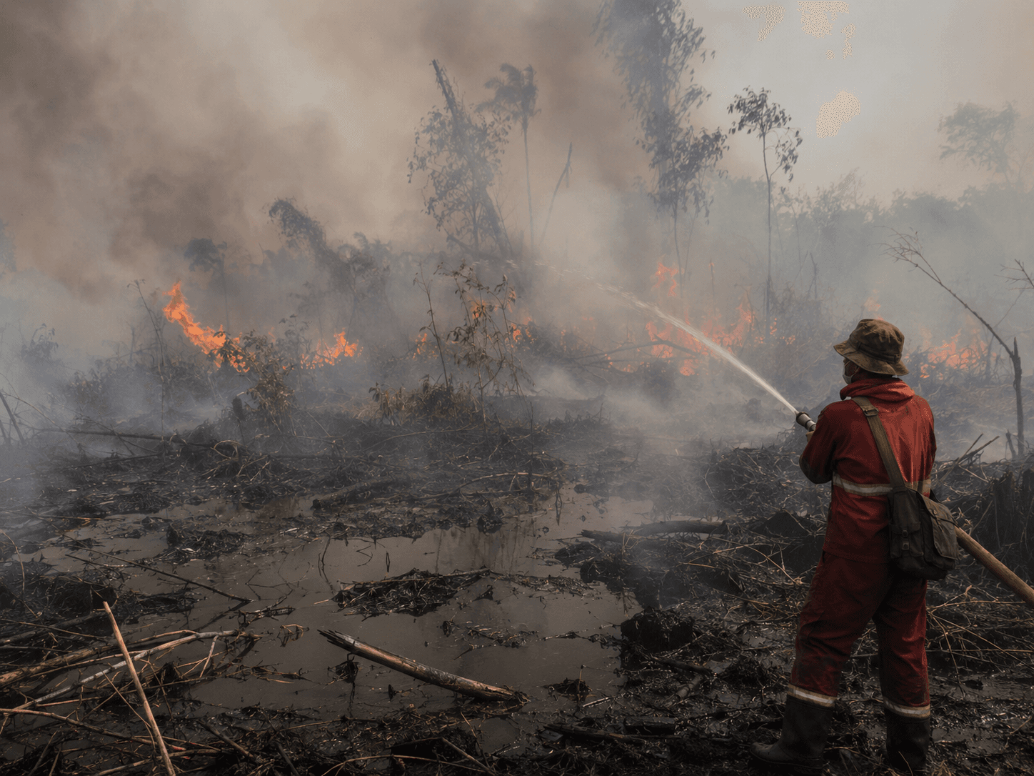 Karhutla Mengancam Riau Lagi! Helikopter Water Bombing Didatangkan dari Australia, Belantara Foundation Tanam Pohon di Tahura